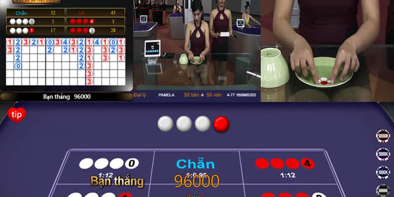 Xóc đĩa trực tiếp là gì? Ưu điểm và cách đặt cược 3 Đánh xóc đĩa live tại Sunwin